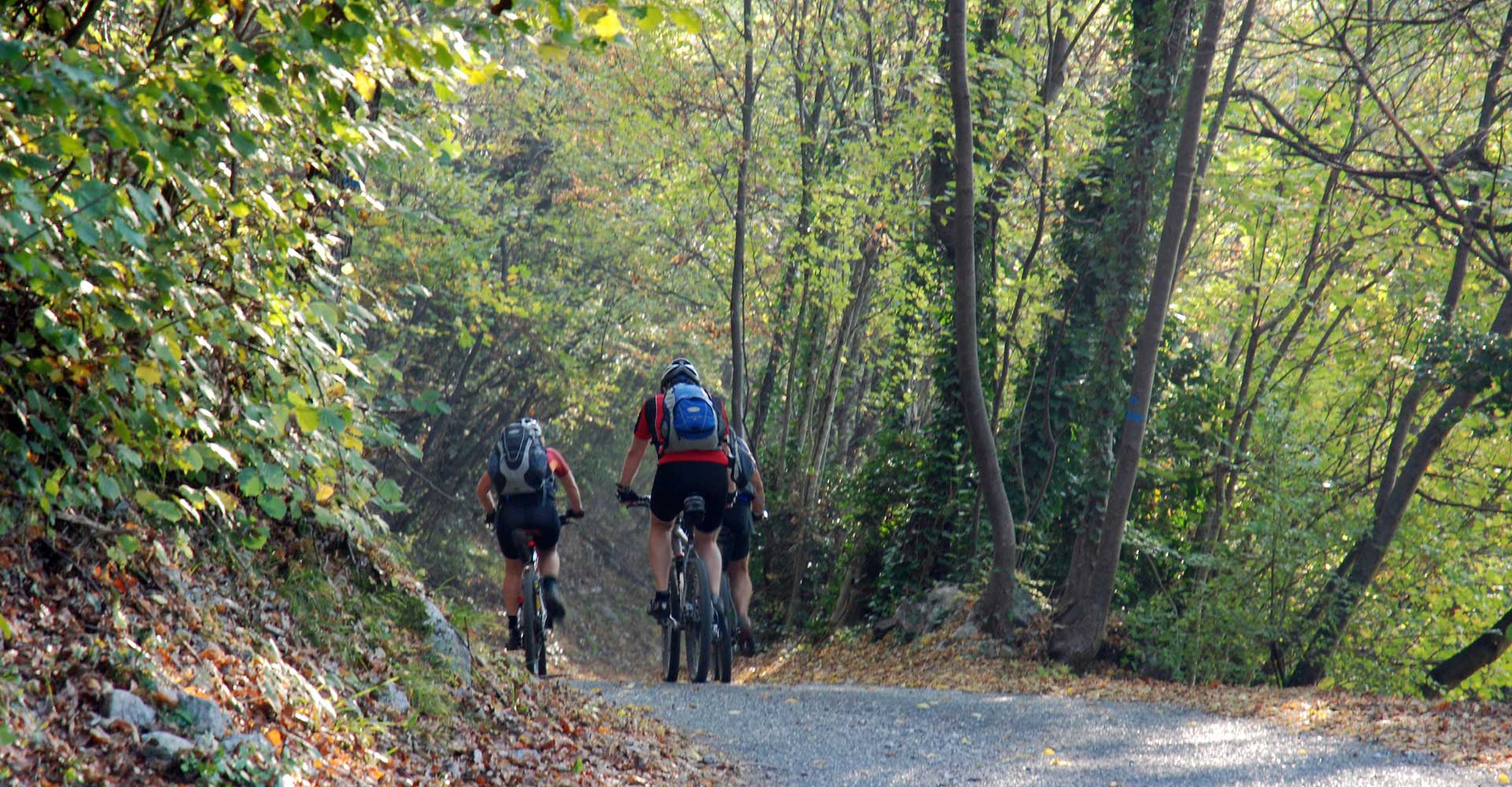 Bike in Garda | Noleggio e Vendita E-Bike e Bici a Nago-Torbole sul Lago di  Garda in Trentino